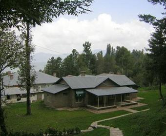 COMMERCIAL PLOT SALE IN MURREE Murree